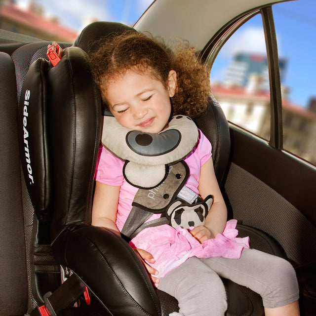 cozy combo - car seat support