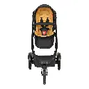 SPORTVERSO_V6_front_butterscotch_1200x1200px.webp